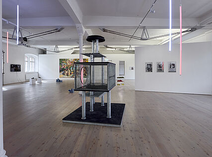 Start Sniffing, (c) KEX/Wolfgang Thaler