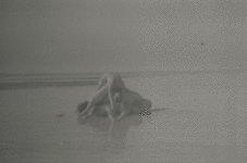 Full outdoor shot of a grayscale image, likely a vintage photograph or film frame. The foreground shows a beach or sandy area. Several indistinct human figures are clustered together, lying or positioned in a way that suggests activity of some kind. The figures lack clear detail, appearing as light or dark shapes against the surrounding sand or water. The scene is somewhat blurred or grainy with a noticeable texture, typical of older photography or scans of film. The overall tonal range is muted, consisting primarily of grays, with subtle variations in shading. No distinct coloration is present. The background is a similar muted gray tone extending out of view, lacking any contrasting light or shadow that would make the figures especially noticeable.