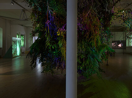 Exhibtion view (c) kex—/Wolfgang Thaler