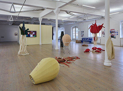 Installationsansicht / Installation view,photo: kex—Wolfgang Thaler