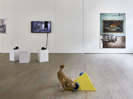 Start Sniffing, (c) KEX/Wolfgang Thaler